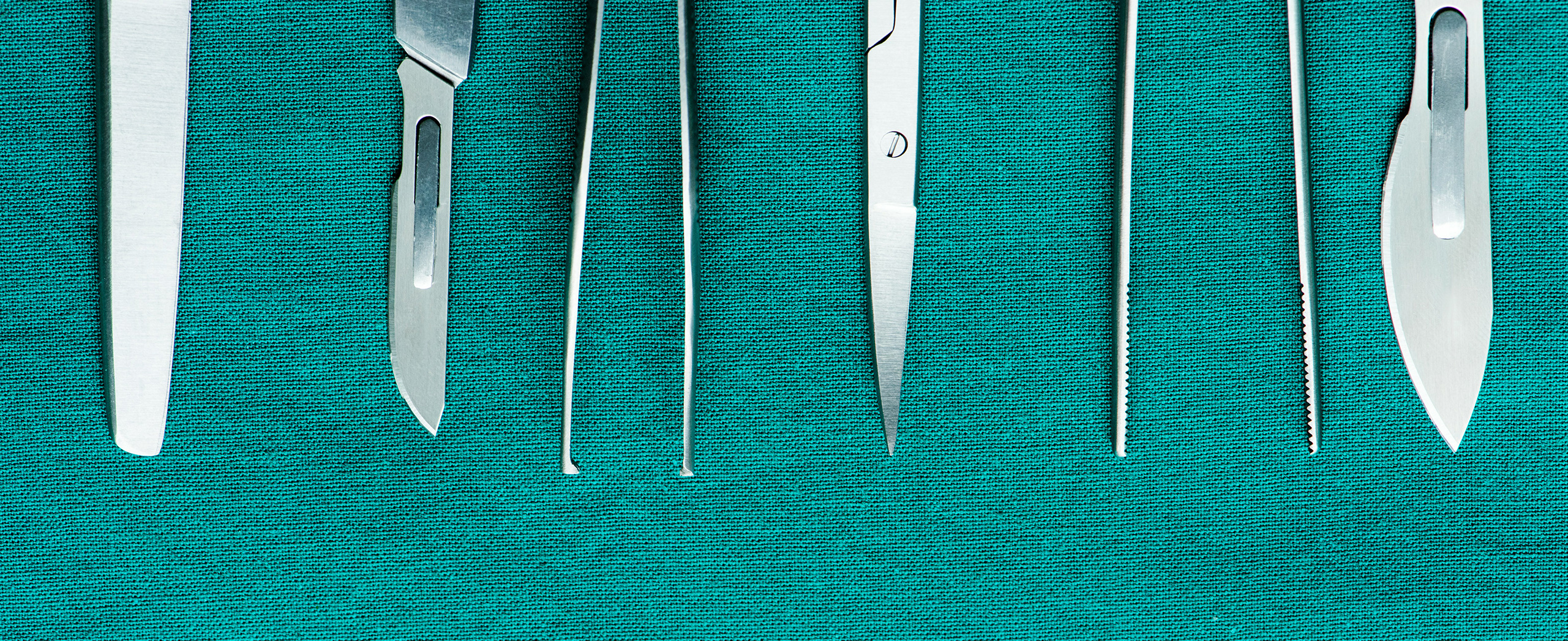 Surgical instruments lined up in a row.