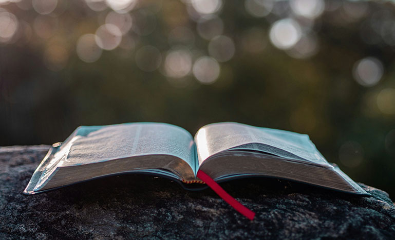 An open religious text sitting on a log