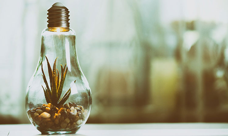 Enviromental Alternative