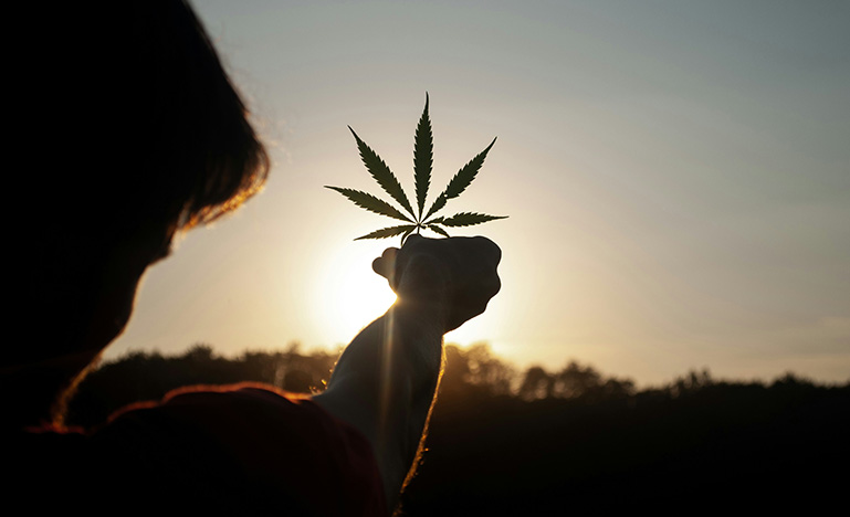Silhouette of a person holding a cannabis leaf in front of a sunset