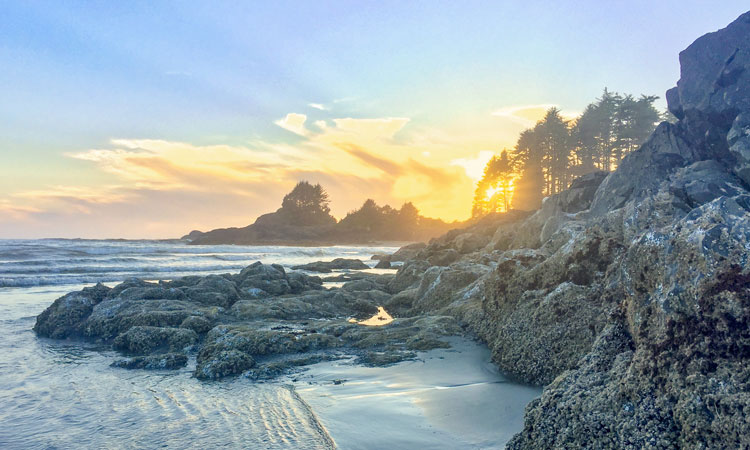 Rocky beach with a forest and sunrise in the background