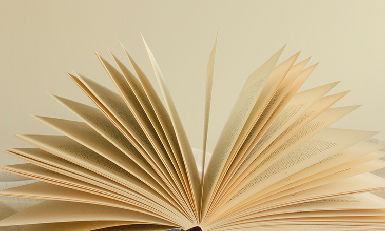 An open courthouse book